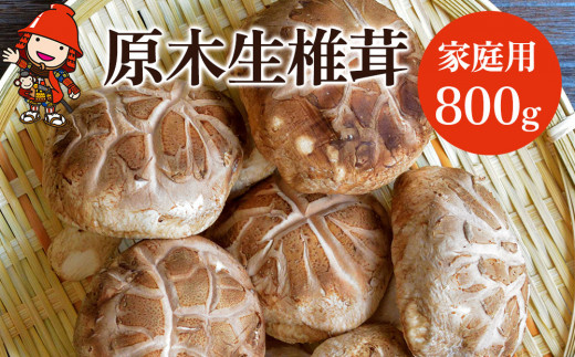 y啪Îszؐő ƒp 800g | ̂ LmR  VC^P ő  VC^P ő  ؍͔|  啪Y BY Y 啪 Îs