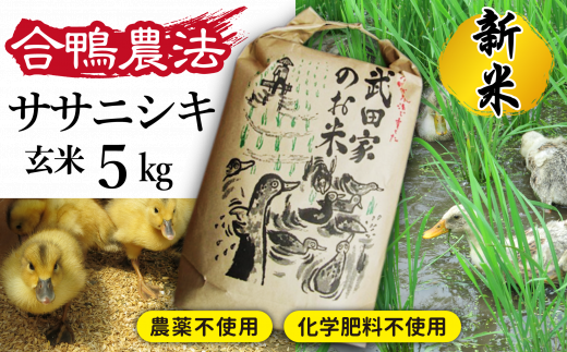 令和５年度産》武田家のお米 ササニシキ（玄米）５kg＜合鴨農法＞【米