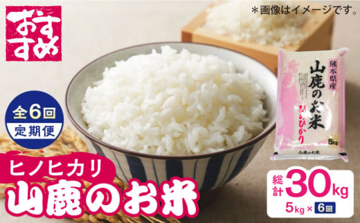 6回定期便】山鹿のお米 ヒノヒカリ 5kg【有限会社 あそしな米穀】お米定期 お米定期便 熊本 精米 ひのひかり定期 [ZBI025] -  熊本県山鹿市｜ふるさとチョイス - ふるさと納税サイト