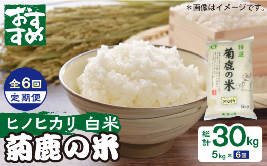 2020年度新米 ヒノヒカリ 熊本県山鹿市産