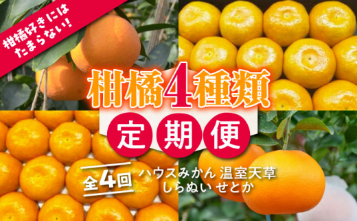 ふるさと納税「せとか」の人気返礼品・お礼品比較 - 価格.com