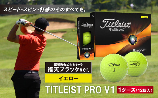 新品】タイトリスト PRO V1（2023）1ダース - その他