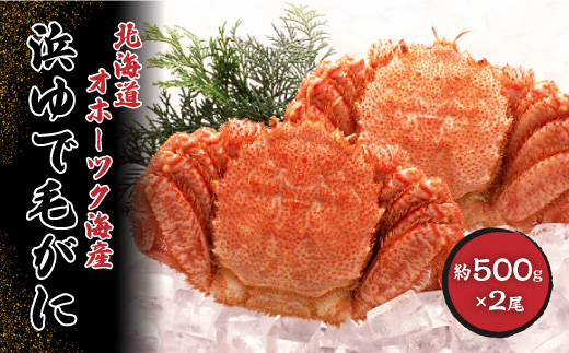 函館浜茹で毛ガニ 500g - 魚介