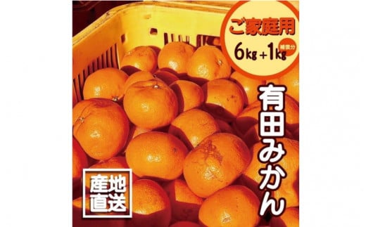 かえ　有田みこんMサイズ20キロ ご予約受付中】【年明け1/6以降｜順次発送予定】有田みかん大粒