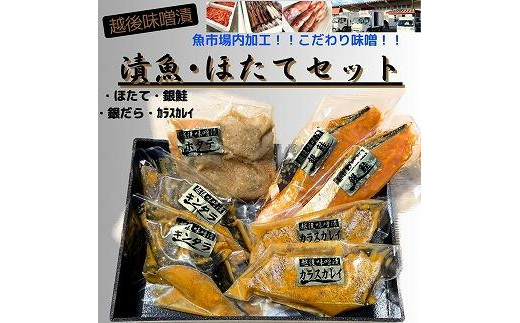 【魚市場直送】越後味噌漬　漬魚切身(銀鮭切身　100g×2切・ギンダラ切身　100g×2切・カラスカレイ切身　 100g×2切)+ボイルほたて(50g×4玉)セット