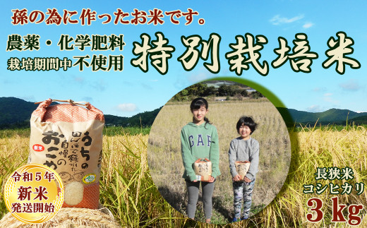d【棚田米／新米】有機肥料使用／自然農法／お米★コシヒカリ／２０キロ