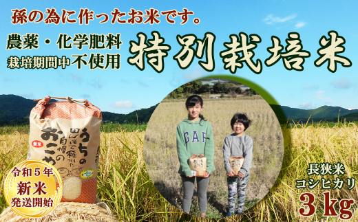 【令和５年新米】孫のために作りました！田代農園の『特別栽培米