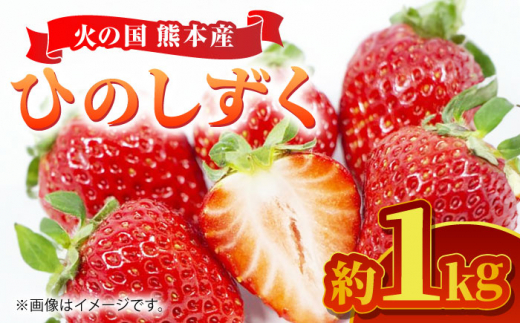 【先行予約】【数量限定】 ひのしずく 約1kg 【くまふる】いちご 苺 イチゴ 冷蔵 くまもと 熊本 熊本県 特産品 [ZBG027]