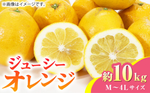 【先行予約】【数量限定】ジューシー オレンジ 約10kg M~4Lサイズ【くまふる】果物 フルーツ 柑橘類 熊本県 特産品 オレンジ ジューシー  みかん 柑橘 [ZBG012]