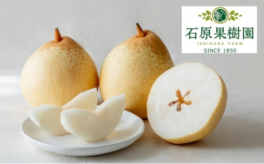 yRsz[5615-0448] 2025N s\ Oij 6`9 v4kgy11{`12{z  iV Ȃ RY Y t[c ʕ Mtg Όʎ