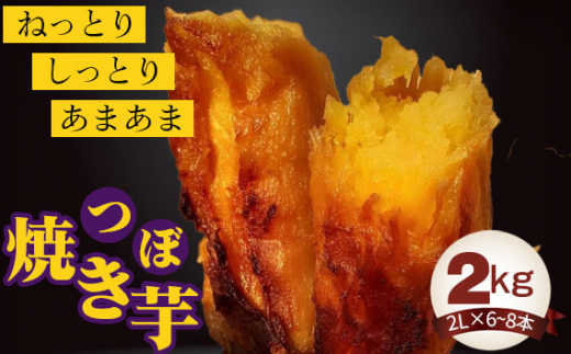 No.394 つぼ焼き芋1kg ／ 紅はるか やきいも さつまいも 茨城県 - 茨城