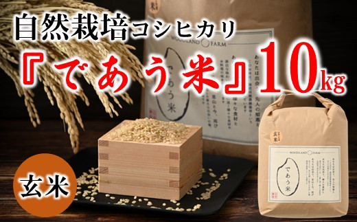 A124] 【無農薬】【玄米】能登のこだわり自然栽培こしひかり『羽咋米