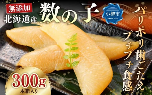 ykCMszkC M OlY Y Y ̎q yؔz b JYmR ̎q    ߗ  N   ① Ms kC 