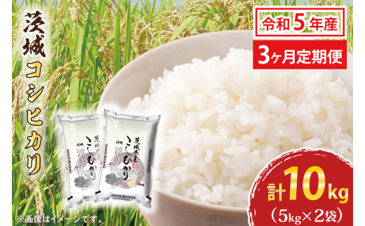 令和5年産 茨城 コシヒカリ 10kg (5㎏×２袋) 米 お米 おこめ 白米