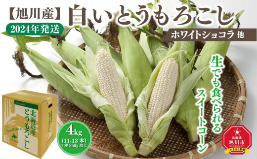 【先行予約】【旭川産】白いとうもろこし（ホワイトショコラ他