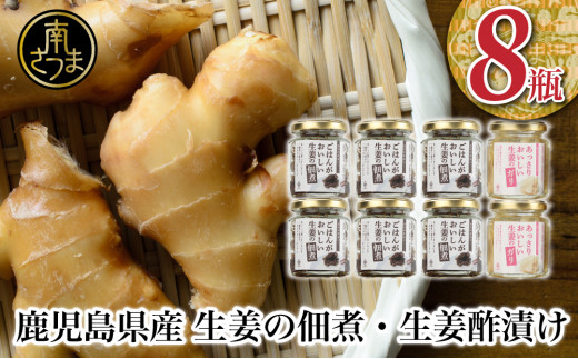 【健康習慣】生姜の佃煮・生姜酢漬け 2種 計8個 佃煮 つくだ煮 セット 珍味 惣菜 生姜 しょうが 鹿児島 エスランドル 南さつま市  鹿児島県南さつま市｜ふるさとチョイス ふるさと納税サイト