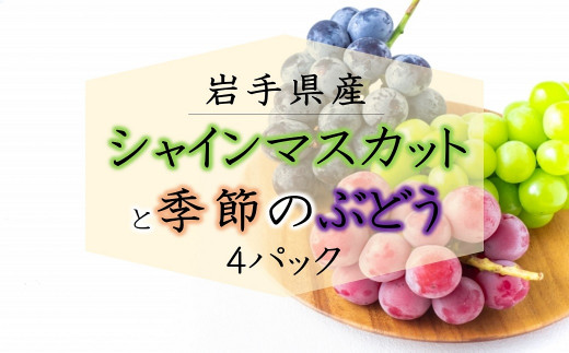 岩手県産 ぶどう 4パック Aセット フルーツ ブドウ 葡萄 アソート