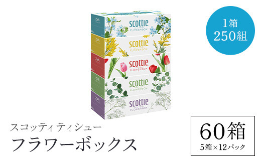 スコッティティシューフラワーボックス250組5箱パック ふるさと納税