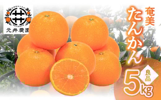 ysz񂩂Ǖiiƒpj5kg@A086-004