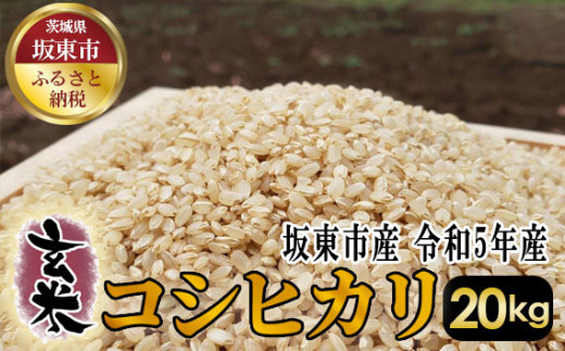 No.389 満月 もち米5kg【令和5年産】 ／ もちごめ 甘味 伸び 茨城県