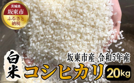 No.415 白米 コシヒカリ30kg【令和5年産】 ／ おこめ こしひかり は