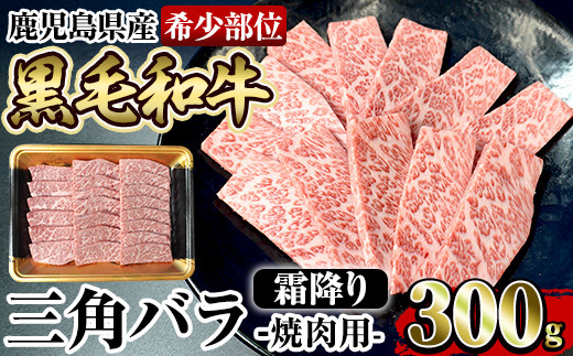 a326 A4等級鹿児島県産黒毛和牛！希少な牛肉！シャトーブリアン 100g×3