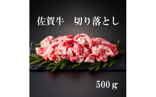 yꌧɖszꋍ ؂藎Ƃ 500g 161-J879