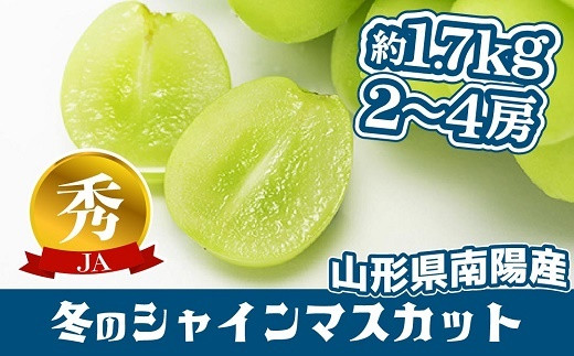 令和5年産】 JA 冬のシャインマスカット 約1.7kg (2～4房 秀品) 《令和