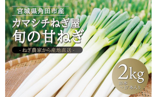 2024年3月 ふるさと納税 ねぎの人気返礼品ランキング - 価格.com