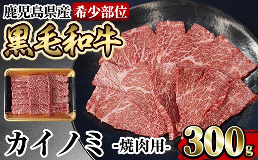 a326 A4等級鹿児島県産黒毛和牛！希少な牛肉！シャトーブリアン 100g×3