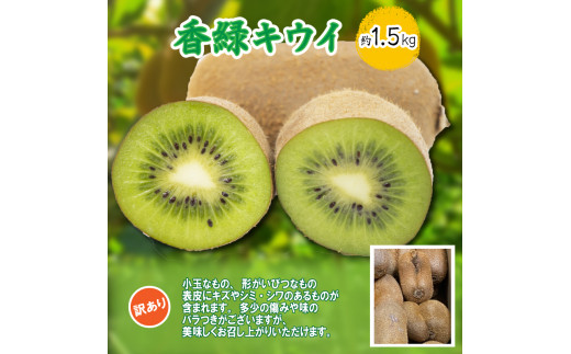 訳あり キウイ 香緑キウイ 約1.5kg 2023年12月上旬より順次出荷 国産 さぬき市 果物 フルーツ 旬 【キウイジュース キウイヨーグルト  香川県 さぬき市 讃岐 朝食 香川県 讃岐 ふるさとチョイス 】