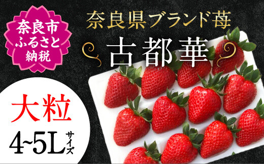 【数量限定】 宝石のような濃いルビー色 古都華 奈良ブランド苺 苺 いちご イチゴ 奈良 なら 大粒4L ~ 5L （2024年1月以降発送） I-06