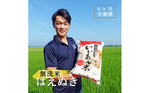SE0200 【6回定期便】無洗米はえぬき 5kg×6回(計30kg) 農家直送
