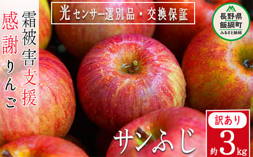 リンゴ サンふじ 3Kg 訳あり 果物 交換保証 感謝りんご １２月発送 １