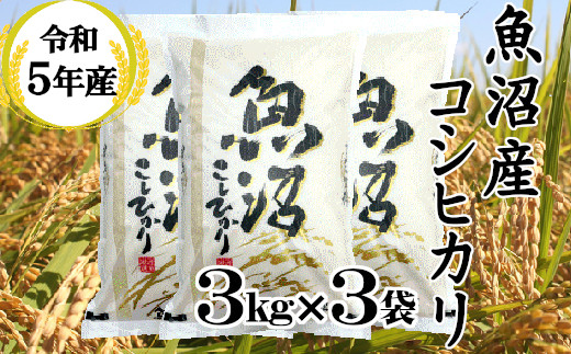 r05-22-1BE 令和5年産 魚沼産コシヒカリ 3kg3袋 和紙製P袋（小千谷米穀