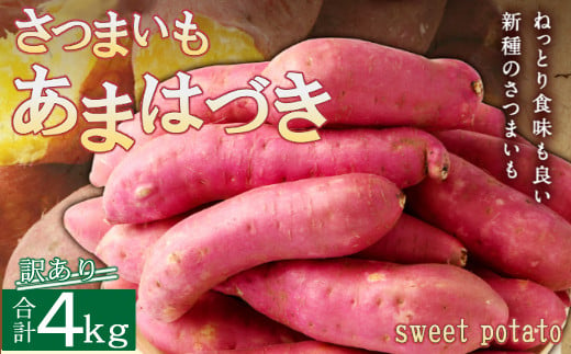 鹿児島県産あまはづき 19キロb - 野菜