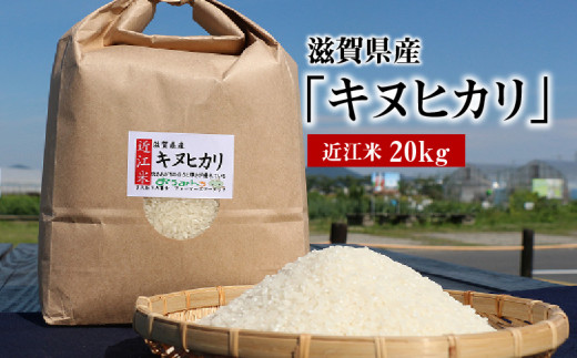 農家のお米キヌヒカリ  新米 20kg