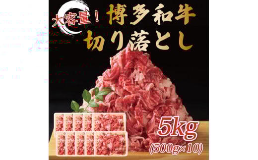 yYcz󂠂Ia؂藎Ƃ 5kg(500g×10p) [a9446] Meat Plus zsFyԗizYc ӂ邳Ɣ[
