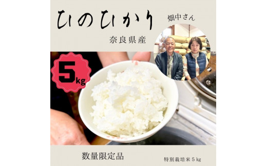 ✨新米✨厳選米 奈良県産 ❖ひのひかり❖20kg 美味しいお米 - 米/穀物