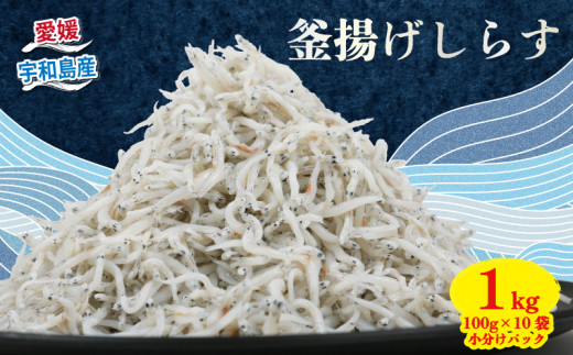 釜揚げしらす 100g × 10袋 計 1kg 時栄水産 冷凍 小分け 魚 さかな