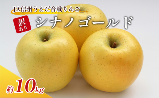 シナノゴールド お徳用10キロ ⑩ シナノゴールド お徳用10キロ ⑩