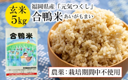 令和5年産 合鴨米「元気つくし」栽培期間期間中農薬不使用（玄米