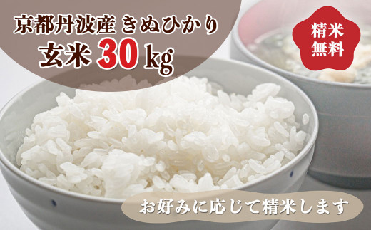 新米 令和5年産 京都 丹波産 きぬひかり 玄米 30kg≪5つ星お米マイ