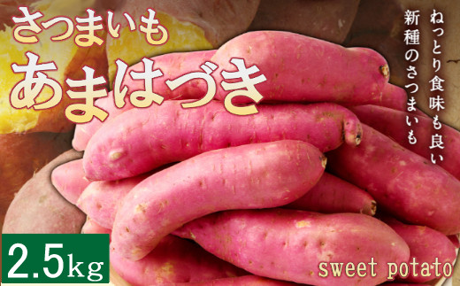 yuuuu専用　あまはづき　さつまいも　2sサイズ　25kg sd1_ccba8e7f89a154f7d427f0b201
