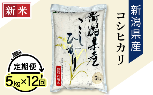 73-4N201新潟長岡産コシヒカリ20kg（10kg×2袋） - 新潟県長岡市