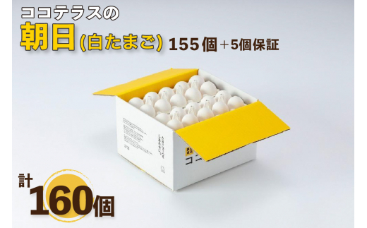 ふるさと納税「常滑市」の人気返礼品・お礼品比較 - 価格.com