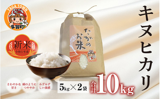 近江米 キヌヒカリ 白米 玄米 米 お米 ご飯 御飯 白飯 飯 送料込 20㎏