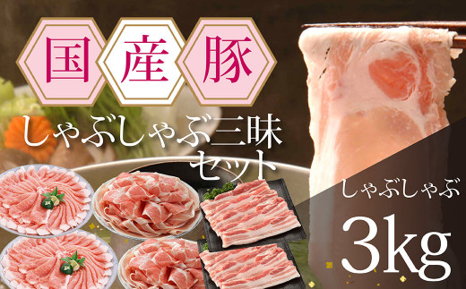 サンプル写真