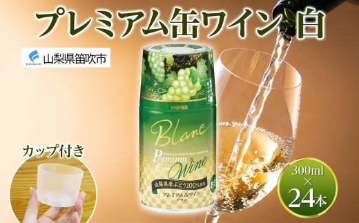 yRJszv~AʃC  300ml 24{ f 177-4-008