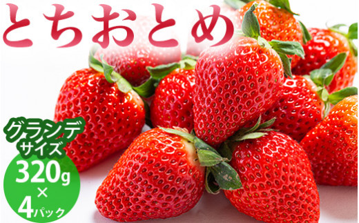 とちおとめ 320g×4パック 約1.2kg グランデサイズ いちご 苺 イチゴ